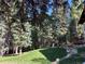 Expansive backyard with mature trees, lush lawn, and a rock-lined garden creating a serene and private oasis at 34498 Forest Estates Rd, Evergreen, CO 80439