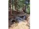 Idyllic creek with clear water flowing through a serene wooded area creating a peaceful natural setting at 34498 Forest Estates Rd, Evergreen, CO 80439