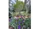 Irises and rocks accent the landscaping at 34498 Forest Estates Rd, Evergreen, CO 80439