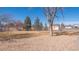 Large, fenced yard showcasing mature trees, a peaceful bench, and plenty of open space at 15543 Quivas St, Broomfield, CO 80023