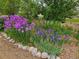 Beautiful garden featuring a variety of colorful flowers and lush greenery, enhanced by decorative rocks at 15543 Quivas St, Broomfield, CO 80023