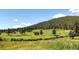 Scenic view of a golf course with a stream, bridge, and a lush green hillside at 24860 N Mountain Park Dr, Evergreen, CO 80439