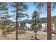 Scenic view of the property featuring trees, a valley, and snow-capped mountains in the distance at 24860 N Mountain Park Dr, Evergreen, CO 80439