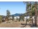 Scenic view of the property featuring trees, a valley, and snow-capped mountains in the distance at 24860 N Mountain Park Dr, Evergreen, CO 80439