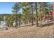 View of a sloped yard with trees and steps leading to a home featuring a red umbrella at 24860 N Mountain Park Dr, Evergreen, CO 80439