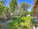 Serene backyard with lush greenery, mature trees, and a well-maintained lawn, perfect for outdoor activities at 3859 Rawhide Cir, Castle Rock, CO 80104