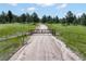 Private driveway with decorative gate leading to a secluded property amidst lush greenery and mature trees at 30886 County Road 17/21, Elizabeth, CO 80107