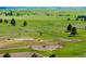 Expansive pasture with horses grazing, surrounded by lush greenery and mature trees on a sunny day at 30886 County Road 17/21, Elizabeth, CO 80107