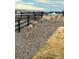 Deer wandering through a backyard with fencing and gravel landscaping at 863 Edenborn Pl, Castle Rock, CO 80104