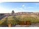 Backyard scene with deer grazing on grassy land and enjoying serene views at 863 Edenborn Pl, Castle Rock, CO 80104