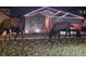 Home with festive Christmas lights and grazing elk create a charming holiday scene at 863 Edenborn Pl, Castle Rock, CO 80104