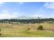 Breathtaking views of mountains, trees, and a wide open field at 10522 Bayou Gulch Rd, Parker, CO 80134