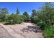 Long driveway leading to a secluded property surrounded by mature trees and natural landscaping at 4380 Sandstone Dr, Monument, CO 80132