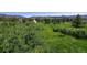 Beautiful property featuring lush green fields, scattered trees, and serene mountain views in a tranquil setting at 4380 Sandstone Dr, Monument, CO 80132