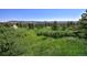 Expansive property features lush green fields, scattered trees, and mountain views in a serene and private setting at 4380 Sandstone Dr, Monument, CO 80132