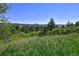 Picturesque land featuring lush green fields, scattered trees, and rolling hills in a tranquil setting at 4380 Sandstone Dr, Monument, CO 80132