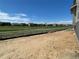 Expansive backyard with golf course views and a black fence, perfect for outdoor activities at 16622 E 109Th Ave, Commerce City, CO 80022