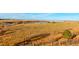 Expansive field view with a calm lake, blue skies, and a rustic wooden fence in the foreground at 2197 S Jackson Gap St, Aurora, CO 80018