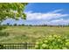 Expansive backyard view overlooking lush green space and a distant neighborhood beyond an iron fence at 5131 Netherland St, Denver, CO 80249
