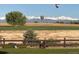 Scenic landscape view featuring hot air balloons over wheat fields and snow-capped mountains at 953 Compass Dr, Erie, CO 80516