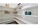 Bright pantry with white shelving, ideal for organized storage at 953 Compass Dr, Erie, CO 80516