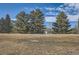 Park-like setting with a bench and tall trees at 7725 S Cove Cir, Centennial, CO 80122