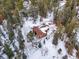 Aerial view of home in snowy wooded area at 65 Cottonwood Dr, Evergreen, CO 80439