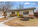 Charming single-story home with a well-manicured lawn, brick accents, and a vibrant green front door at 1515 Sagrimore Cir, Lafayette, CO 80026