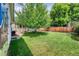 Well-maintained backyard featuring lush green grass and privacy fencing at 1346 S Grant St, Longmont, CO 80501
