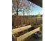 Sunlit garden with raised planting beds, blooming flowers, and a charming wooden fence at 9145 Sugarstone Cir, Highlands Ranch, CO 80130