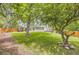 Spacious backyard featuring a gazebo, manicured lawn, mature trees, and a privacy fence for outdoor enjoyment at 1477 S Wright St, Lakewood, CO 80228
