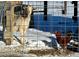 Goat and rooster in a snowy enclosure at 7587 Wright Ct, Arvada, CO 80005