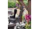 Cozy patio space featuring comfortable wicker furniture, decorative plants, and an inviting atmosphere at 26530 E Euclid Pl, Aurora, CO 80016