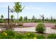 Community recreational area with basketball courts, sidewalks, landscaping and lush green spaces at 10185 Isle St, Parker, CO 80134