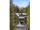 Stunning mountain home surrounded by evergreen trees and boasting a beautiful, scenic view at 50 Cooney Ct, Breckenridge, CO 80424