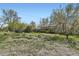 Picturesque backyard with mature trees and well-maintained lawn, perfect for relaxation and outdoor enjoyment at 2022 S Clay St, Denver, CO 80219