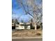Single story home with simple landscaping and a mature tree in the front yard at 4445 E Florida Ave, Denver, CO 80222