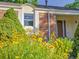 Close-up of yellow wildflowers in front of a well-maintained brick home with mature landscaping at 6844 S Detroit Cir, Centennial, CO 80122