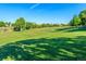 Expansive green space in a neighborhood park with playground and lush trees at 6844 S Detroit Cir, Centennial, CO 80122