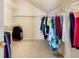 Well-organized walk-in closet with shelving, hanging racks and carpeted floor at 1801 S Dunkirk St # 205, Aurora, CO 80017