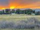 Rural landscape with grazing cattle and mountain views offers a tranquil, pastoral ambiance at 1264 Banner Cir, Erie, CO 80516