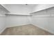 Walk in closet with carpet flooring, base molding, and shelving at 1694 Fox Trotter Pt, Castle Rock, CO 80104