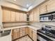 Spacious kitchen with ample light wood cabinets and counter space at 10578 Parkington Ln # 35D, Highlands Ranch, CO 80126