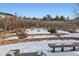 Winter backyard view with snow-covered landscaping and stone retaining wall at 3346 Red Tree Pl, Castle Rock, CO 80104