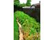 Backyard showcasing vibrant landscaping along the fence and the lush green lawn at 11823 Williams Way, Northglenn, CO 80233