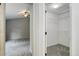 Walk-in closet featuring open shelving and carpeting at 354 Willowick Cir, Highlands Ranch, CO 80129