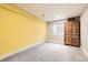Cozy basement room with carpet, natural light, and warm yellow wall, perfect for creating a comfortable living space at 537 N 48Th Ave, Brighton, CO 80601