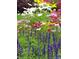This flower garden offers a variety of colorful plants in different shades and colors at 650 S Clinton St # 6D, Denver, CO 80247