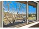 View from the window overlooking a tree-lined street and neighborhood with plenty of natural light at 650 S Clinton St # 6D, Denver, CO 80247