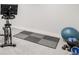 Basement area perfect for working out, equipped with bike, weights, floor mat, and exercise ball at 9861 E Ohio Ave, Denver, CO 80247
